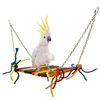 Rocky bird Grand Rocky bird Grand