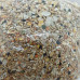 Charly inséparable/cockatiel sans tournesol 4.4 lb-2 kg Charly inséparable/cockatiel sans tournesol 4.4 lb-2 kg