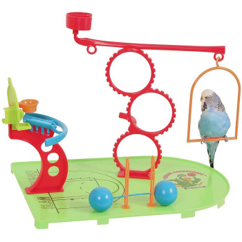 Birdie Basketball and training gym