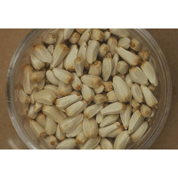 Carthame 1 lb-454 gr Carthame 1 lb-454 gr