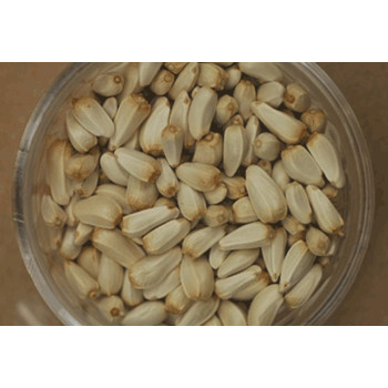 Carthame 1 lb-454 gr