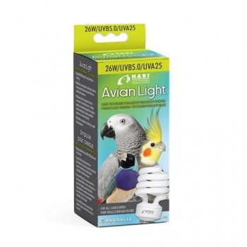Avian Light Avian Light