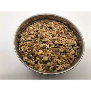 Mélange grains a germer Colloque Aviaire mini perroquet