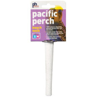 Pacific perch beach walk x small Pacific perch beach walk x small