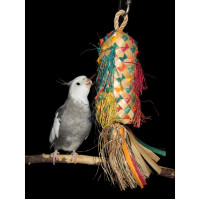 Pinata petit Pinata petit